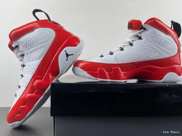 Kick Theory Air 9 Gym Retro White Red Jordan 302370-160 0621